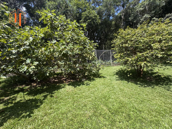 Imagem Imóvel com 2 Quartos à Venda, 6.000 m² em Loteamento Chácara Chantecler - Piraquara