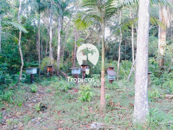 Imagem Terreno à Venda, 320 m² em Guaraguacú - Pontal Do Parana
