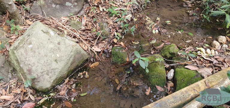 Imagem Terreno à Venda, 3 m² em Caio Martins - Esmeraldas