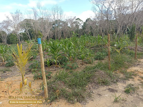 Imagem Chácara à Venda, em Br 367 - Porto Seguro Imagem Chácara à Venda, em Br 367 - Porto Seguro