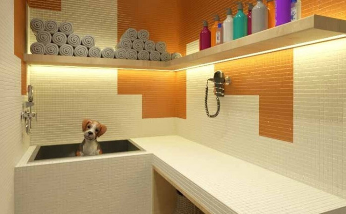 Imagem Imóvel com 2 Quartos à Venda, 53 m² em Tucuruvi - São Paulo Imagem Imóvel com 2 Quartos à Venda, 53 m² em Tucuruvi - São Paulo