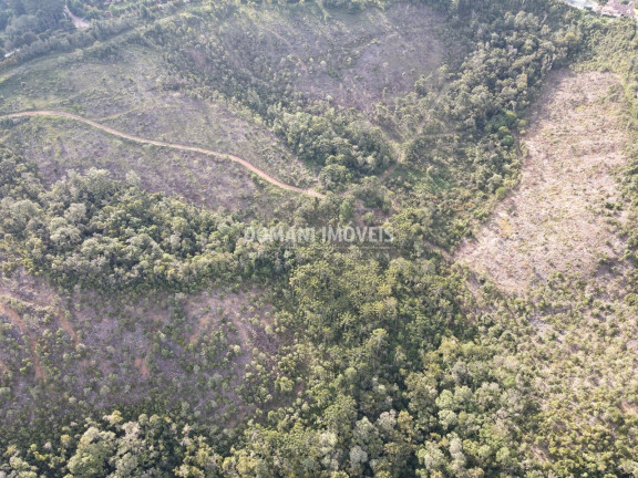 Imagem Imóvel à Venda, em Região Do Alto Do Capivari - Campos Do Jordão Imagem Imóvel à Venda, em Região Do Alto Do Capivari - Campos Do Jordão