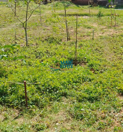 Imagem Terreno à Venda, 300 m² em Praia Vermelha Do Centro - Ubatuba