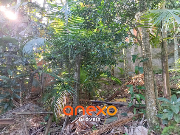 Imagem Casa com 3 Quartos à Venda, 750 m² em Escola Agrícola - Blumenau