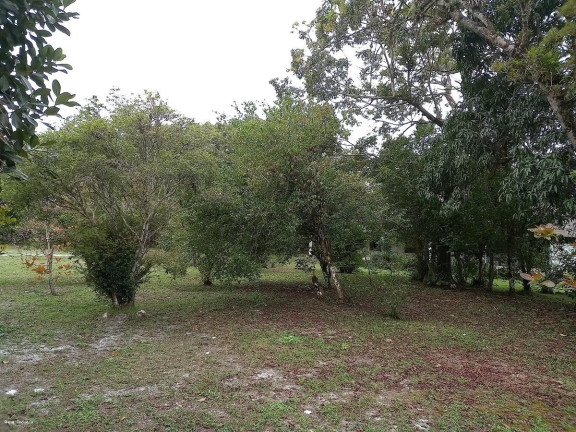 Imagem Imóvel com 3 Quartos à Venda, 5.423 m² em Jardim São Fernando - Itanhaém Imagem Imóvel com 3 Quartos à Venda, 5.423 m² em Jardim São Fernando - Itanhaém