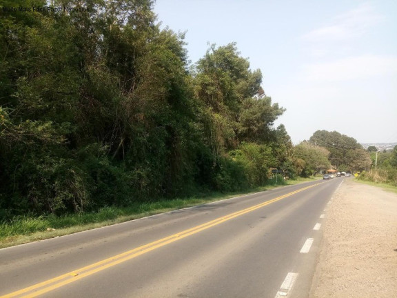 Imagem Terreno à Venda, 5.863 m² em Morro Korb - Nova Petrópolis Imagem Terreno à Venda, 5.863 m² em Morro Korb - Nova Petrópolis