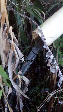 Imagem Chácara com 5 Quartos à Venda, 7 m² em Zona Rural - Borda Da Mata Imagem Chácara com 5 Quartos à Venda, 7 m² em Zona Rural - Borda Da Mata