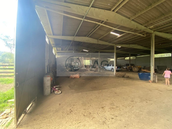 Imagem Imóvel com 6 Quartos à Venda, 3.000 m² em Distrito Industrial - Campina Grande Do Sul Imagem Imóvel com 6 Quartos à Venda, 3.000 m² em Distrito Industrial - Campina Grande Do Sul