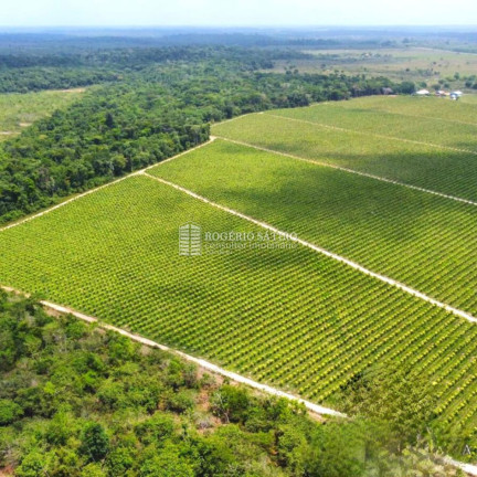 Imagem Imóvel com 3 Quartos à Venda, 9.600.000 m² em Centro  - Tomé-açú