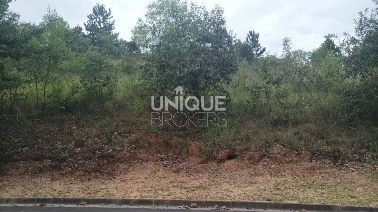 Foto do imóvel Terreno à Venda, 6.240 m² em Ivoturucaia - Jundiaí