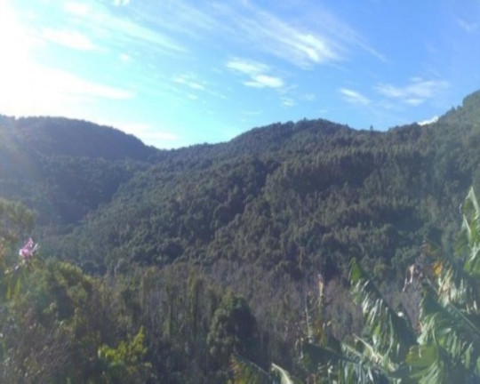 Imagem Imóvel com 3 Quartos à Venda, 65 m² em Fazenda Pirajá - Nova Petrópolis