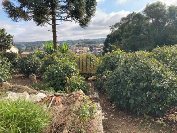 Imagem Terreno à Venda, 2.080 m² em Vila Santa Terezinha - Loteamento Vila Santo Onofre - Campo Largo Imagem Terreno à Venda, 2.080 m² em Vila Santa Terezinha - Loteamento Vila Santo Onofre - Campo Largo