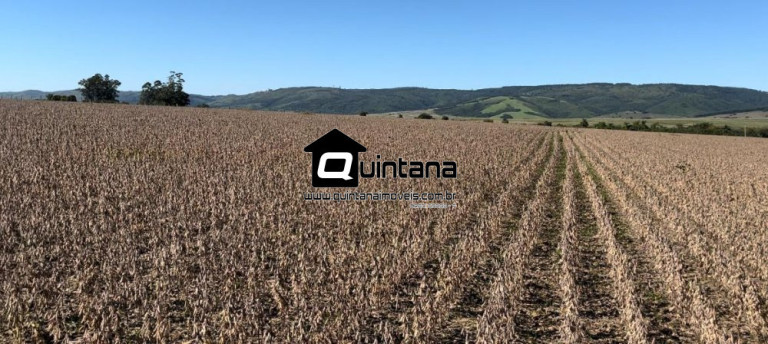 Imagem Imóvel para Alugar, 5.500.000 m² em Centro - Encruzilhada Do Sul