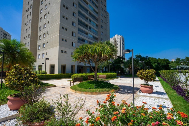 Imagem Apartamento com 3 Quartos à Venda, 145 m² em Vila Sônia - São Paulo Imagem Apartamento com 3 Quartos à Venda, 145 m² em Vila Sônia - São Paulo