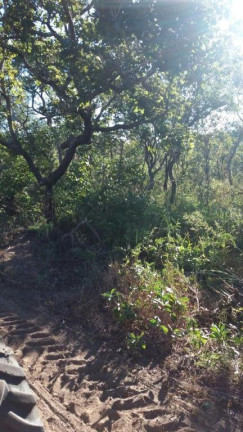 Imagem Fazenda à Venda, 29.935.400 m² em Centro - Ponte Alta Do Bom Jesus Imagem Fazenda à Venda, 29.935.400 m² em Centro - Ponte Alta Do Bom Jesus