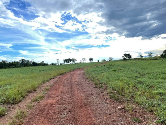 Imagem Fazenda à Venda, 500 m² em Zona Rural - Aliança Do Tocantins