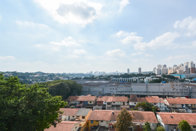 Imagem Apartamento com 2 Quartos à Venda, 60 m² em Vila Sônia - São Paulo Imagem Apartamento com 2 Quartos à Venda, 60 m² em Vila Sônia - São Paulo