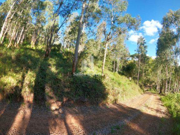 Imagem Terreno à Venda, 10.000 m² em São Cristovão - Flores Da Cunha Imagem Terreno à Venda, 10.000 m² em São Cristovão - Flores Da Cunha