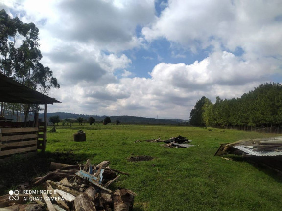 Imagem Terreno à Venda, em Parque Das Araucárias - Piraquara Imagem Terreno à Venda, em Parque Das Araucárias - Piraquara