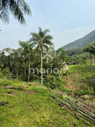 Imagem Fazenda à Venda, 10.000 m² em Alto Bau - Ilhota Imagem Fazenda à Venda, 10.000 m² em Alto Bau - Ilhota