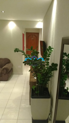 Imagem Apartamento com 2 Quartos à Venda, 65 m² em Vila Santa Catarina - São Paulo Imagem Apartamento com 2 Quartos à Venda, 65 m² em Vila Santa Catarina - São Paulo