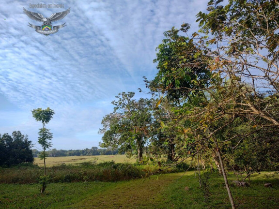 Imagem Fazenda à Venda, em Marapanim Imagem Fazenda à Venda, em Marapanim