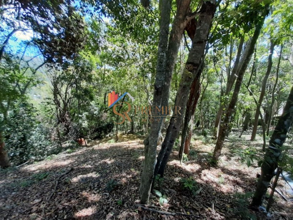 Imagem Imóvel à Venda, 399 m² em Lagoa Da Conceição - Florianópolis Imagem Imóvel à Venda, 399 m² em Lagoa Da Conceição - Florianópolis