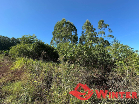 Imagem Chácara à Venda, 2.500 m² em Arroio Das Pedras - Bom Princípio Imagem Chácara à Venda, 2.500 m² em Arroio Das Pedras - Bom Princípio