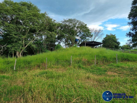 Imagem Fazenda à Venda, 45 m² em Zona Rural - Varjão Imagem Fazenda à Venda, 45 m² em Zona Rural - Varjão