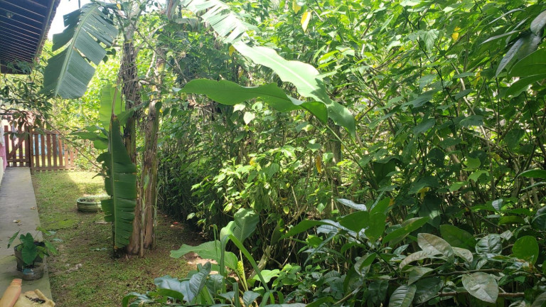 Imagem Sobrado com 3 Quartos à Venda, 155 m² em Lagoinha - Ubatuba
