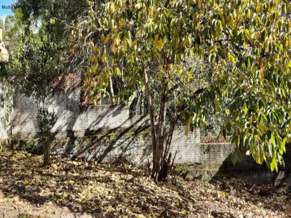Imagem Casa com 3 Quartos à Venda, 169 m² em Piá - Nova Petrópolis
