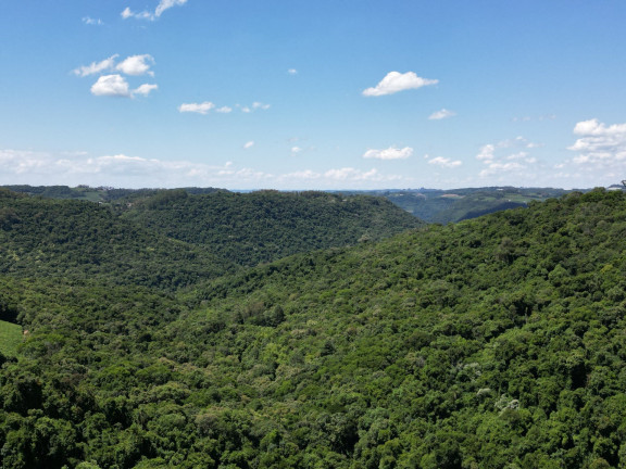 Imagem Terreno à Venda, 5.000 m² em S Roque - Bento Gonçalves Imagem Terreno à Venda, 5.000 m² em S Roque - Bento Gonçalves