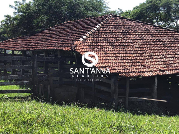 Imagem Chácara à Venda, 16 m² em área Rural De Fernandópolis - Fernandópolis Imagem Chácara à Venda, 16 m² em área Rural De Fernandópolis - Fernandópolis