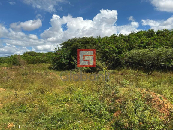 Imagem Terreno à Venda, 5.263 m² em Carmelo - Montes Claros Imagem Terreno à Venda, 5.263 m² em Carmelo - Montes Claros