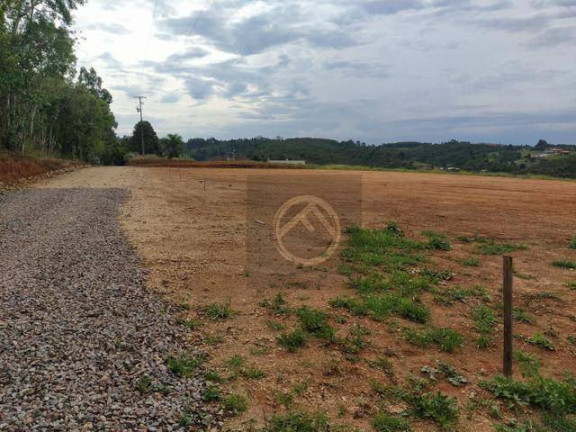 Imagem Chácara com 4 Quartos à Venda, 38.000 m² em Roça Velha - São José Dos Pinhais
