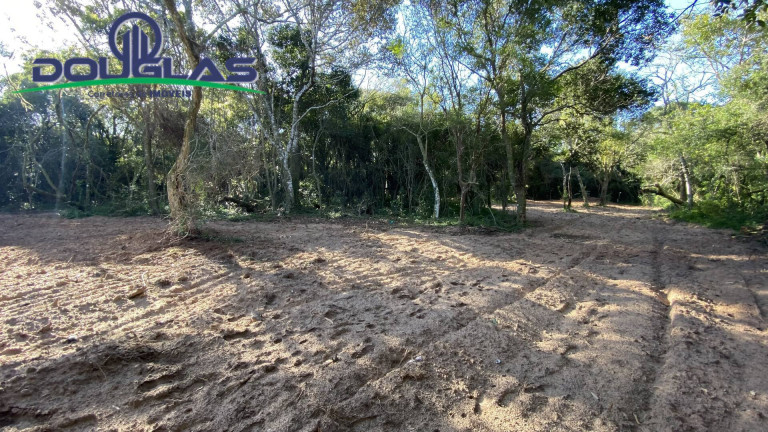 Imagem Terreno à Venda, em águas Claras - Viamão Imagem Terreno à Venda, em águas Claras - Viamão