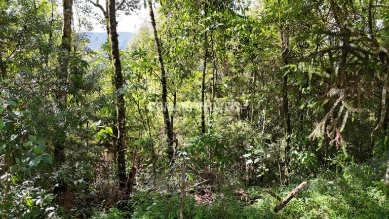 Terreno à Venda, 1.275 m² em Região Do Parque Pedra Do Baú - Campos Do Jordão