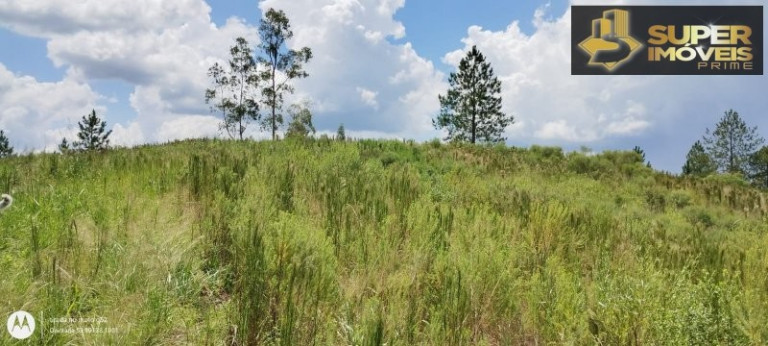 Imagem Imóvel com 4 Quartos à Venda, 150.000 m² em Zona Rural - Morro Redondo