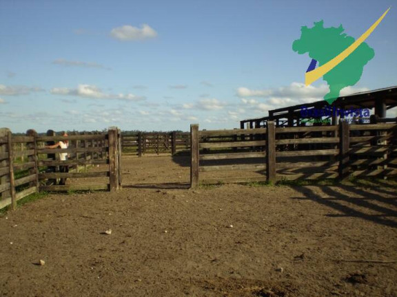 Imagem Fazenda à Venda, 12 m² em Centro - Buerarema Imagem Fazenda à Venda, 12 m² em Centro - Buerarema