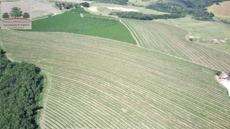 Imagem Fazenda à Venda, 2.000 m² em Zona Rural - Perdizes Imagem Fazenda à Venda, 2.000 m² em Zona Rural - Perdizes