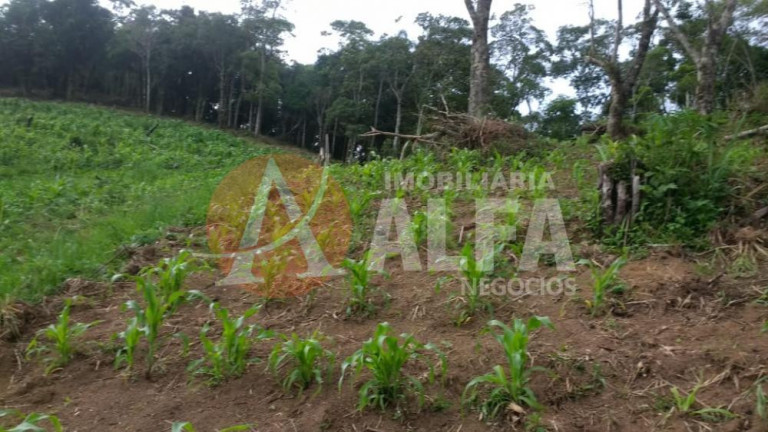 Imagem Terreno à Venda, 31.000 m² em Buru - Salto