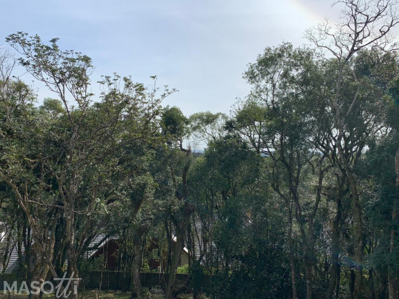 Imagem Terreno à Venda, 1.366 m² em Centro - Gramado