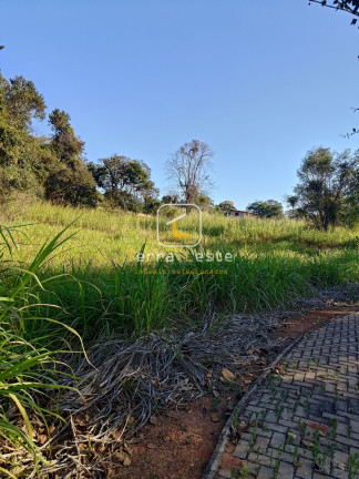 Terreno à Venda, 1.000 m² em Piedade Do Paraopeba - Brumadinho