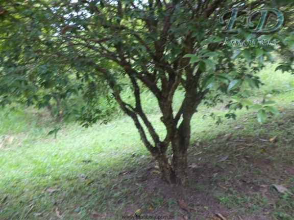 Imagem Terreno à Venda, 2.517 m² em Jardim Estância Brasil - Atibaia
