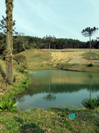 Imagem Imóvel com 1 Quarto à Venda, 72.000 m² em Interior - Bom Retiro