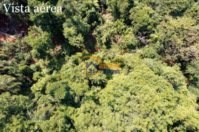 Imagem Terreno à Venda, 70.000 m² em Felix - Ubatuba