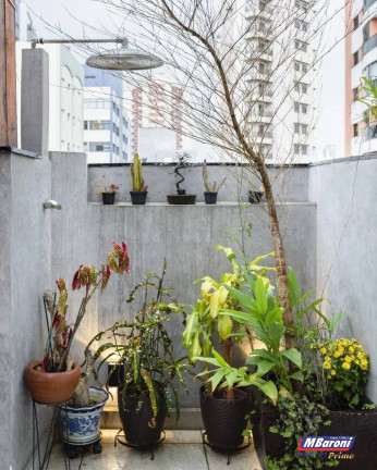 Imagem Apartamento com 3 Quartos para Alugar, 234 m² em Perdizes - São Paulo Imagem Apartamento com 3 Quartos para Alugar, 234 m² em Perdizes - São Paulo