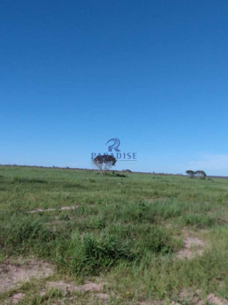 Imagem Fazenda à Venda, 17.799.000 m² em Zona Rural - Baianópolis Imagem Fazenda à Venda, 17.799.000 m² em Zona Rural - Baianópolis