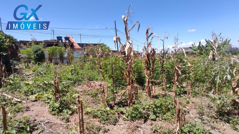 Imagem Terreno à Venda, 200 m² em Fazenda Castro - Ribeirão Das Neves Imagem Terreno à Venda, 200 m² em Fazenda Castro - Ribeirão Das Neves