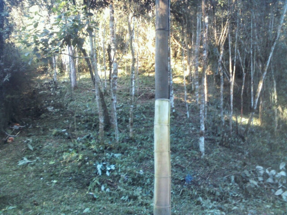 Imagem Terreno à Venda, 855 m² em Albuquerque - Teresópolis